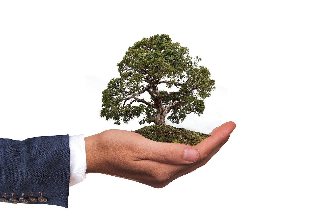 Eco-Friendly Waste Removal Services for the Australian Homeowner