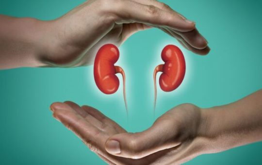 Kidney-Transplant