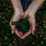 Why Brian Sheth Is Planting Trees for the Future